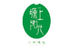 塬上陽(yáng)光